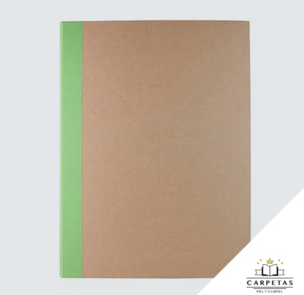 Carpeta skin