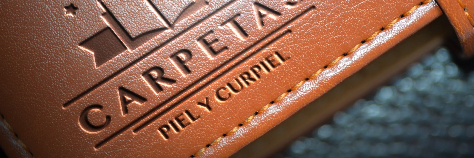 Carpetas de piel y curpiel, logotipo simulacion