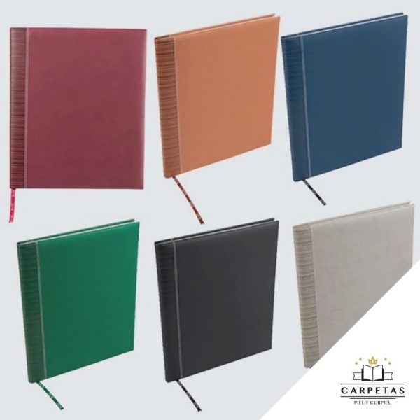 agenda ejecutiva clasica en puebla