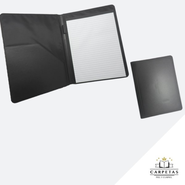 CARPETA EPSILON en puebla